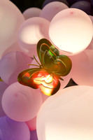 Paavi 0010