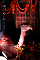 PS__7885