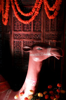 PS__7883