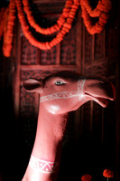 PS__7884