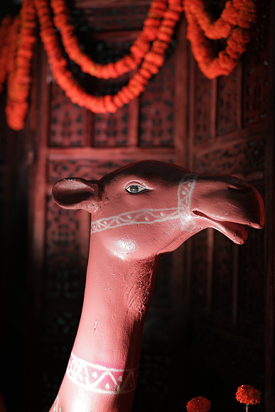 PS__7884