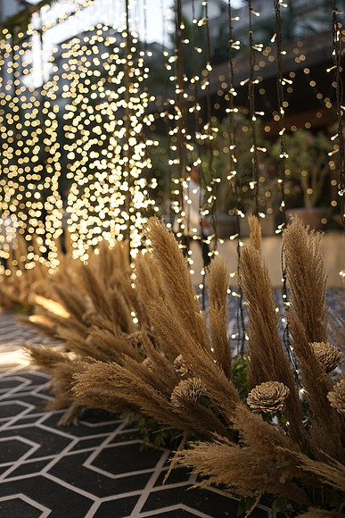 DSC01939