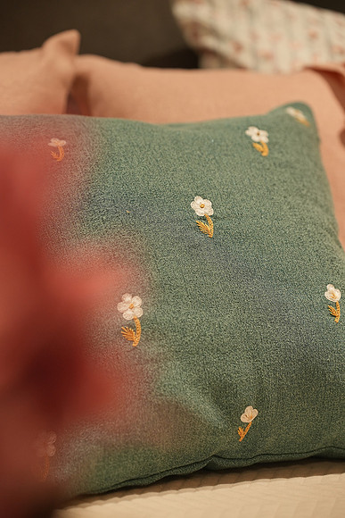 DSC00534