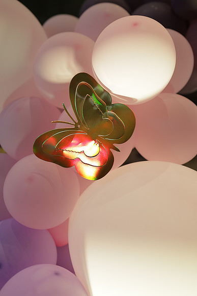 PS__5580