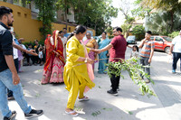 DSC08339