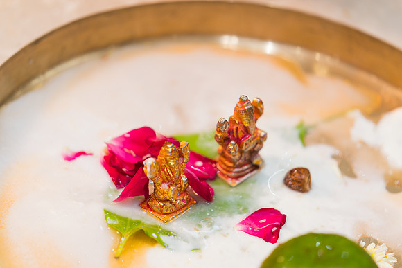 Image-220