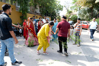 DSC08338